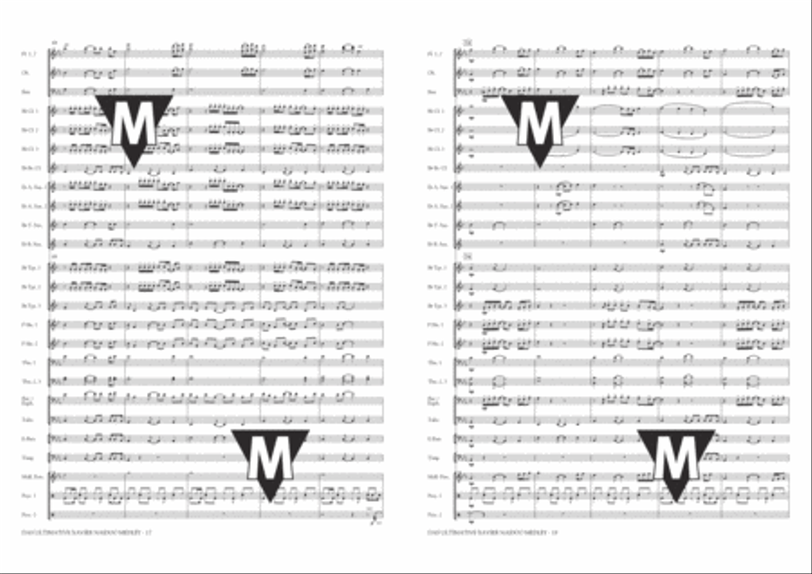 Das Ultimative Xavier Naidoo Medley Concert Band scores gallery preview page 10