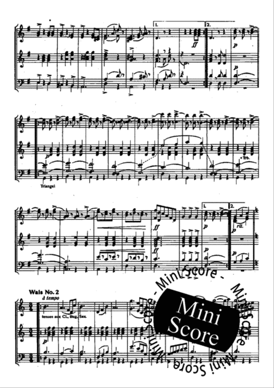 Bad'ner Mad'ln Concert Band scores gallery preview page 5