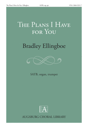 Book cover for The Plans I have for You