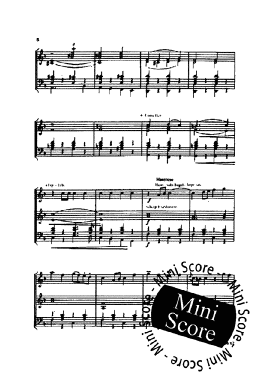 Graf Waldersee Concert Band - Sheet Music page 9