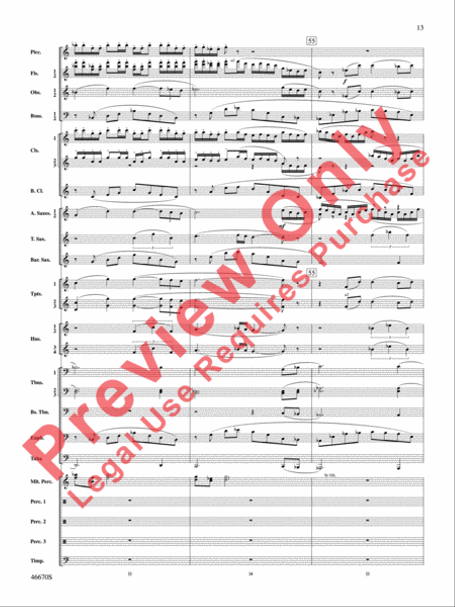 The Falls Concert Band scores gallery preview page 14