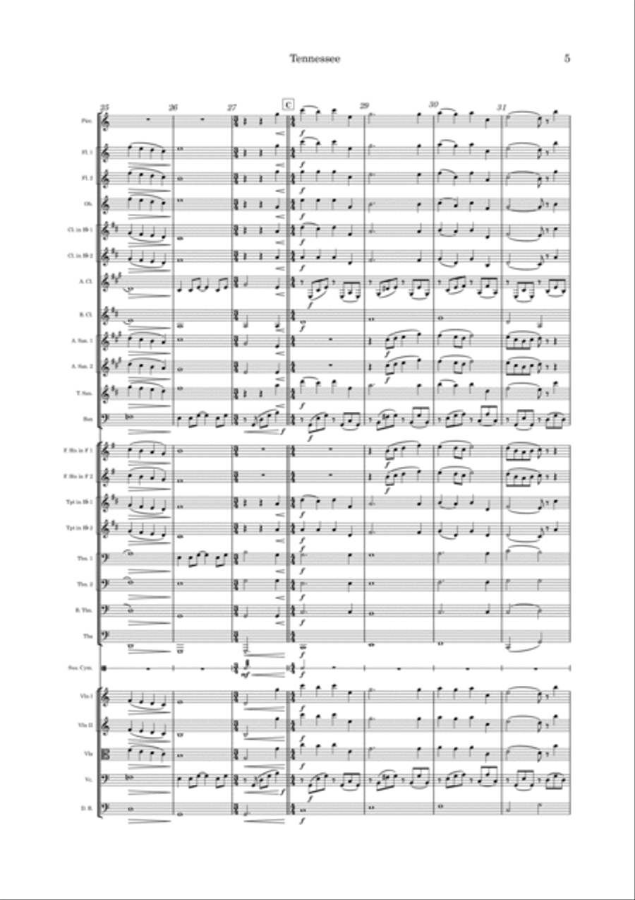 Tennessee Full Orchestra scores gallery preview page 5