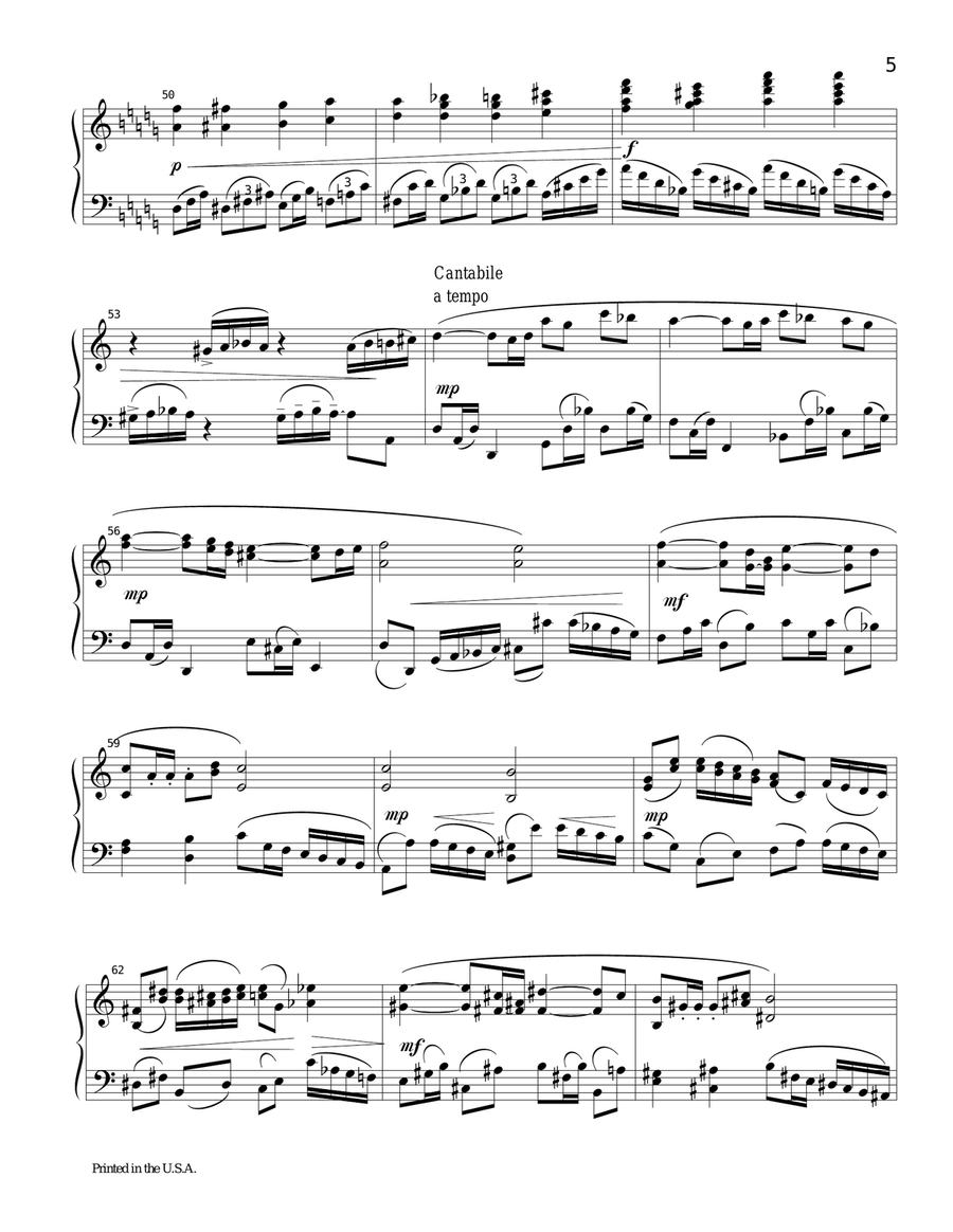 Piano Sonata No. 1 in C minor Piano Solo scores gallery preview page 5