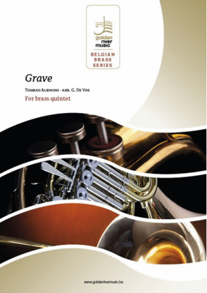 Book cover for Grave