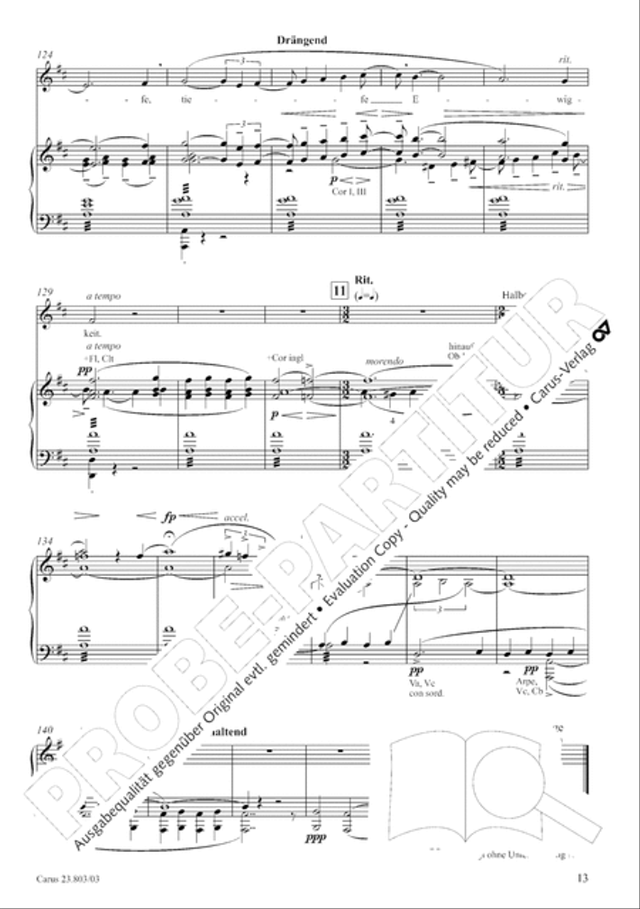 Symphony No. 3 Divisi scores gallery preview page 14