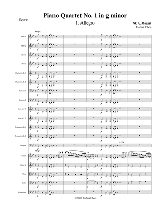 Book cover for Piano Quartet No. 1 in g minor, Movement 1