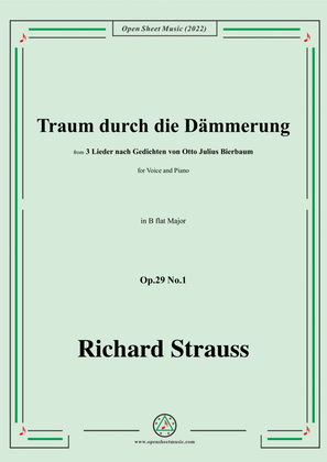 Richard Strauss-Traum durch die Dämmerung,in B flat Major