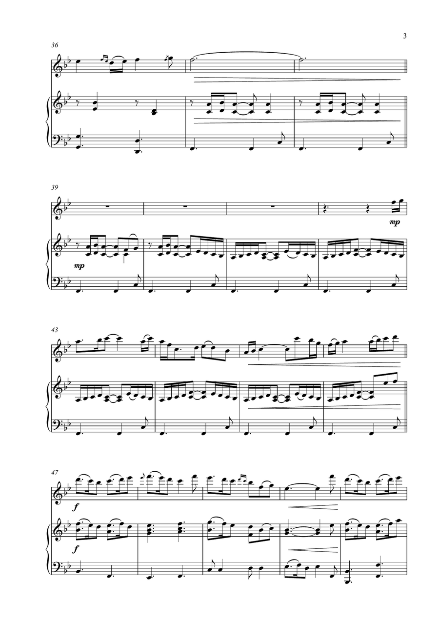Lough Erin Shore - Flute and Piano Flute Solo scores gallery preview page 4