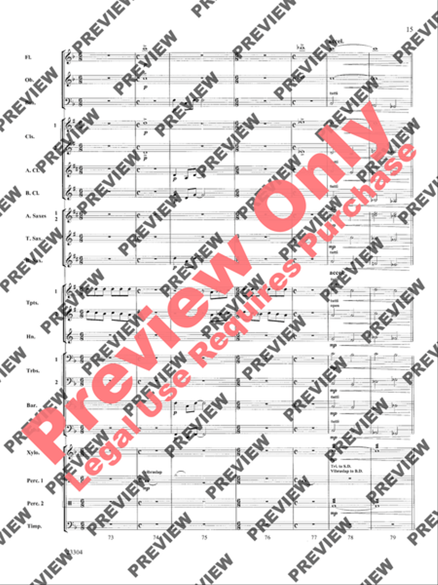 Ciudad de Festivales Concert Band scores gallery preview page 16