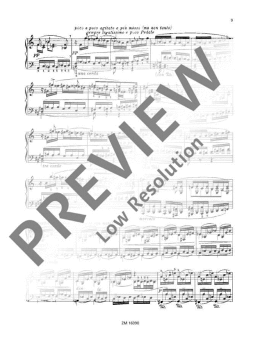 Vergessene Weisen (Forgotten Melodies) Piano Solo scores gallery preview page 10