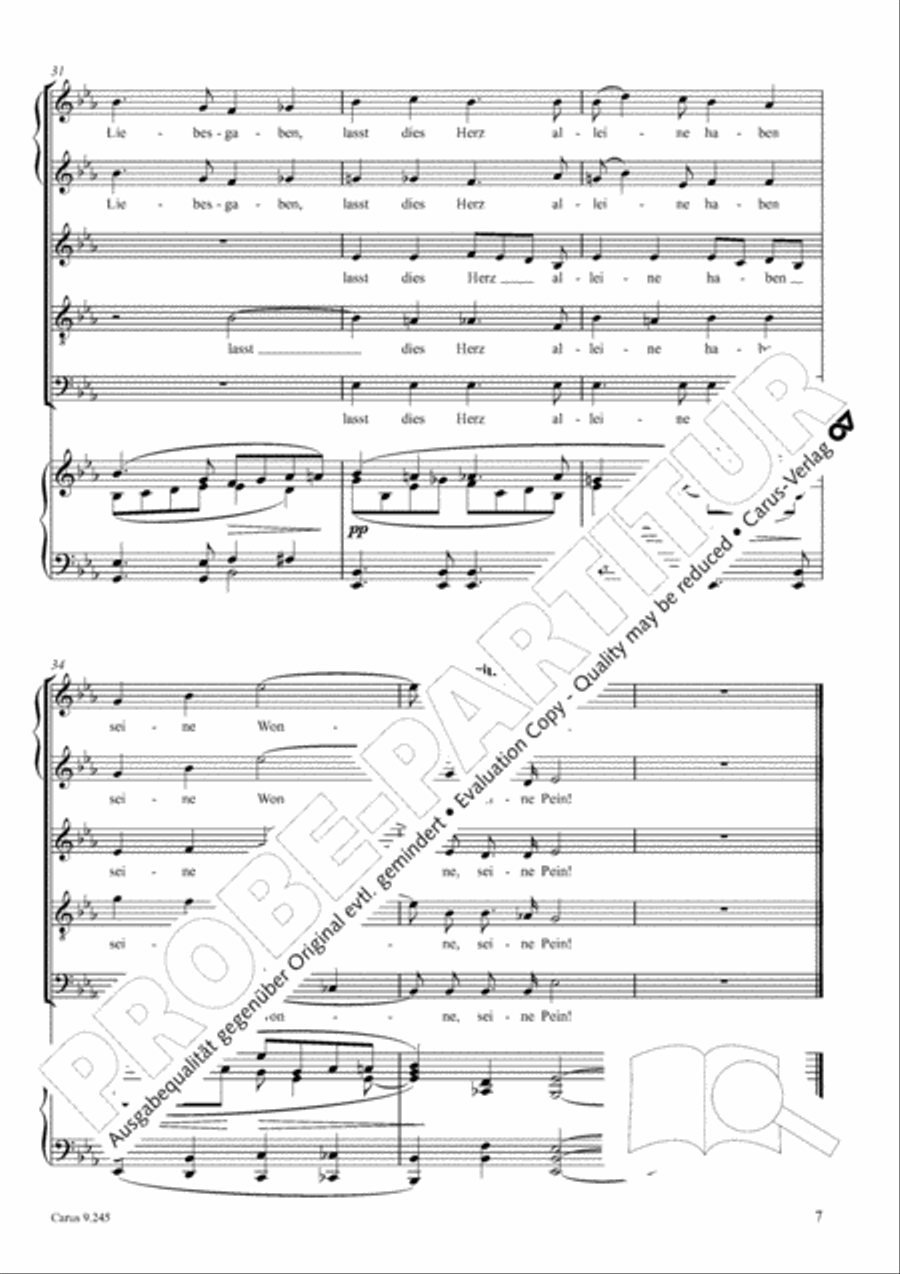 Verborgenheit SSATB scores gallery preview page 8