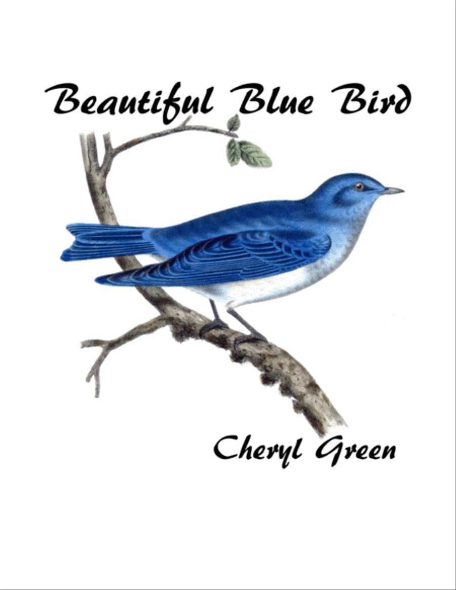 Beautiful Blue Bird image number null