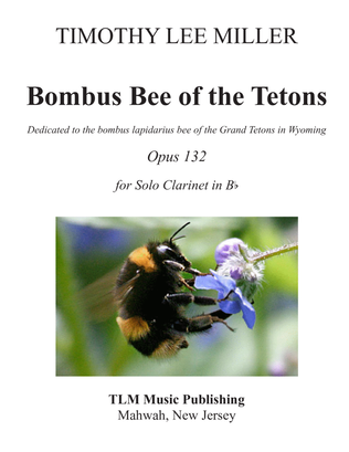 Bombus Bee of the Tetons