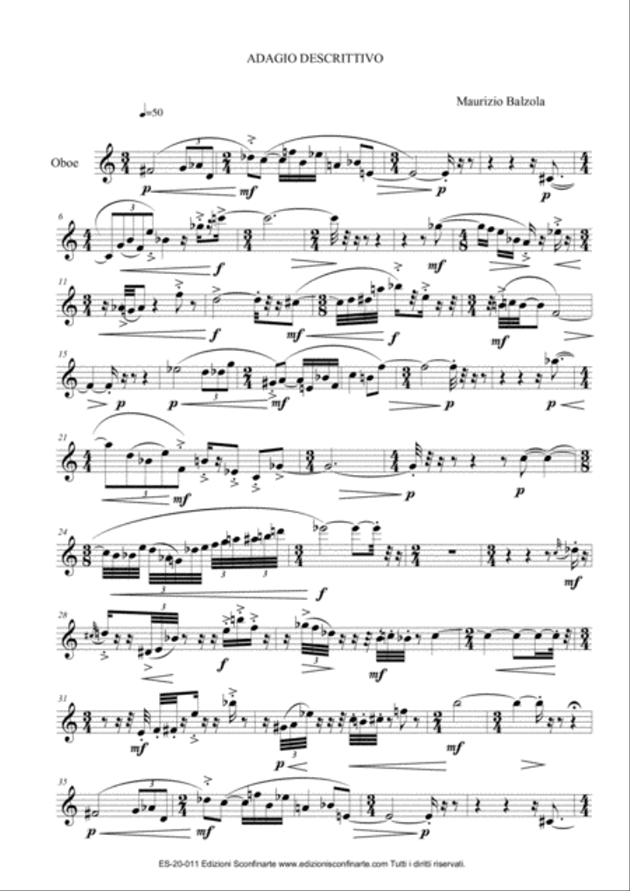 Maurizio Balzola: ADAGIO DESCRITTIVO (ES-20-011)