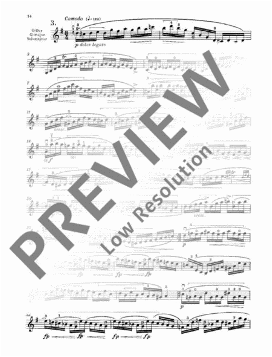 24 Caprices 24 Caprices Violin Solo scores gallery preview page 15