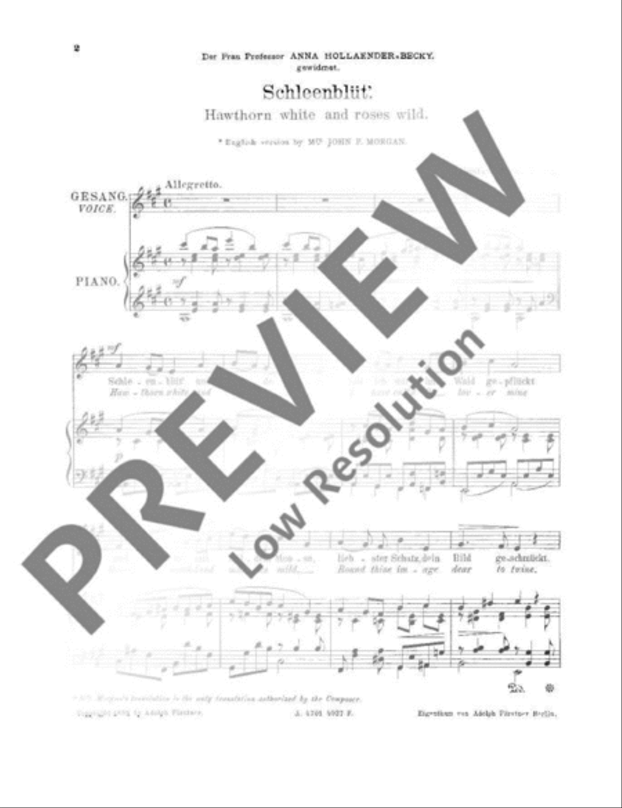 Haw-thorn white and roses wild / Cradle-Song Voice Solo scores gallery preview page 3