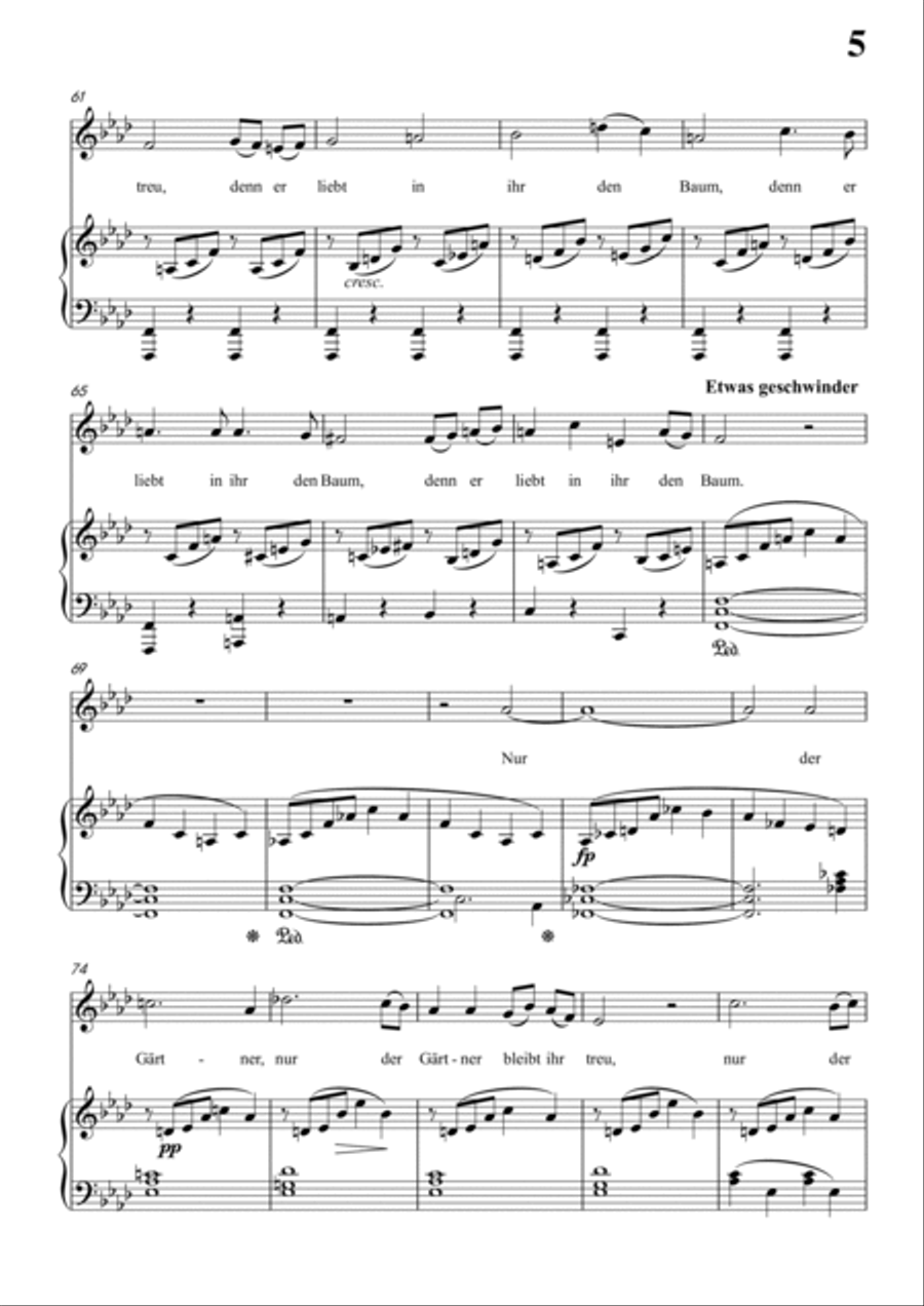 Schubert-Die Abgeblühte Linde(The Faded Linden Tree) in f minor,for Vocal and Pno Voice scores gallery preview page 6