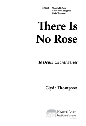 Book cover for There is No Rose