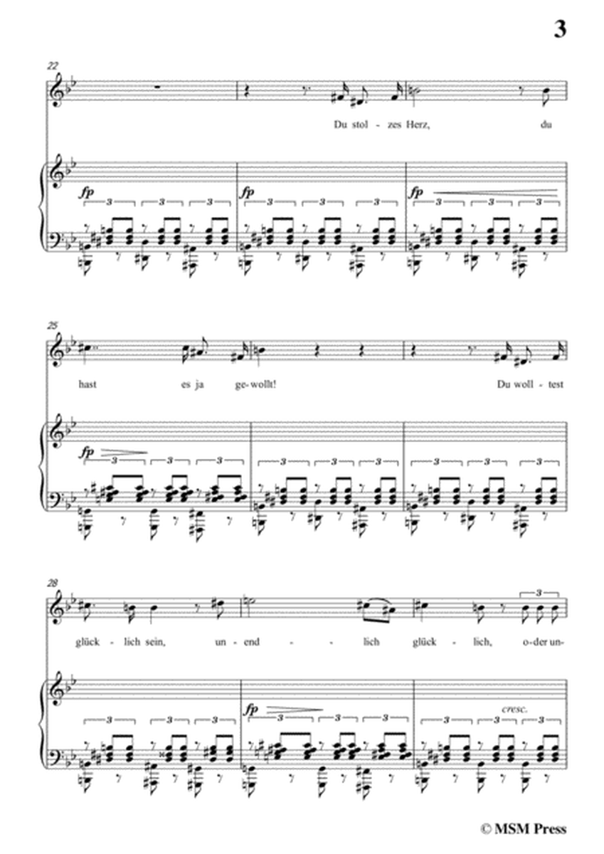 Schubert-Der Atlas,in g minor,for Voice&Piano image number null