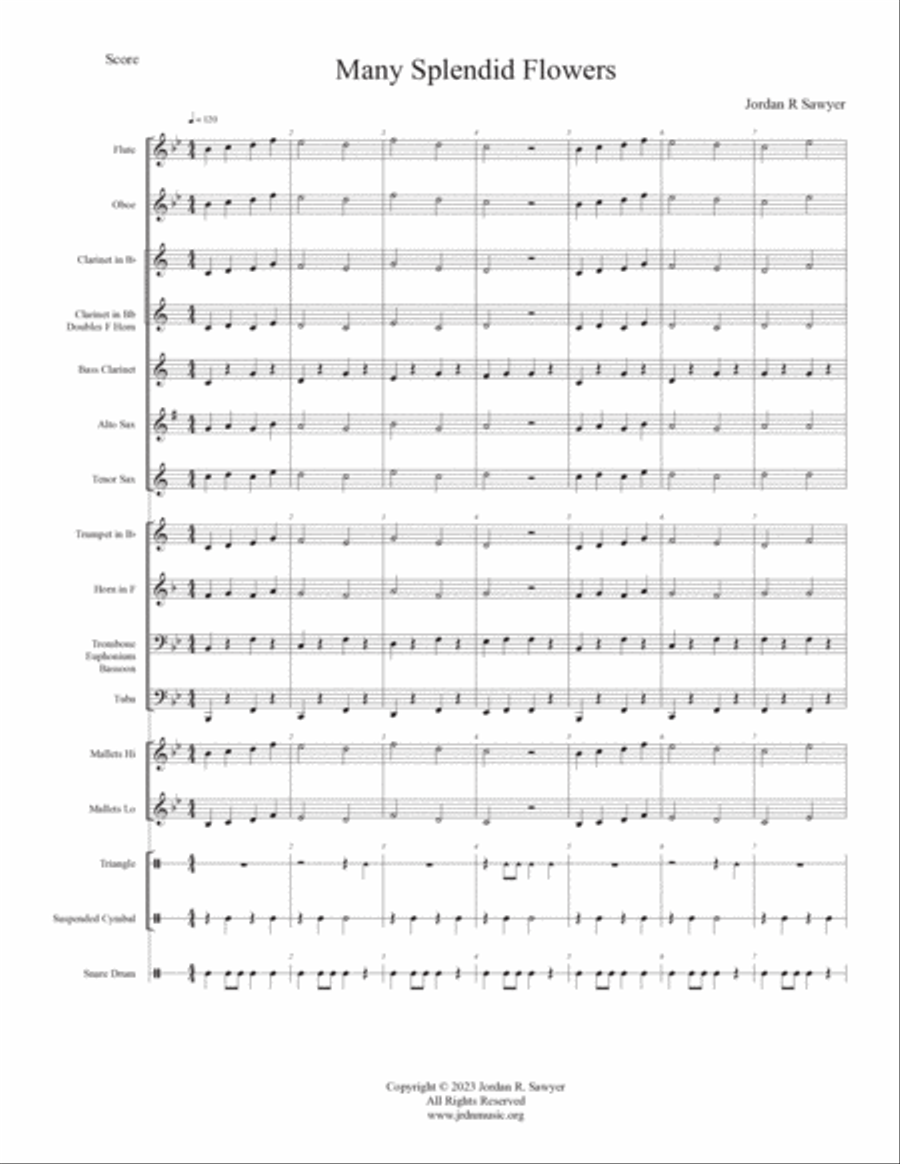 Many Splendid Flowers Concert Band scores gallery preview page 4