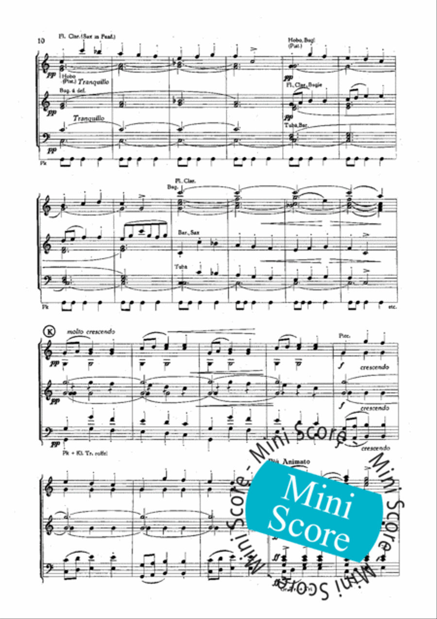 Slavische Dansen No 1,6 en 8 Concert Band scores gallery preview page 12