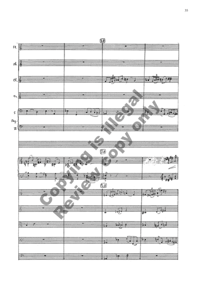 Enharmonic Variations (Additional Variazione Enharmoniche) (Additional Full Score)