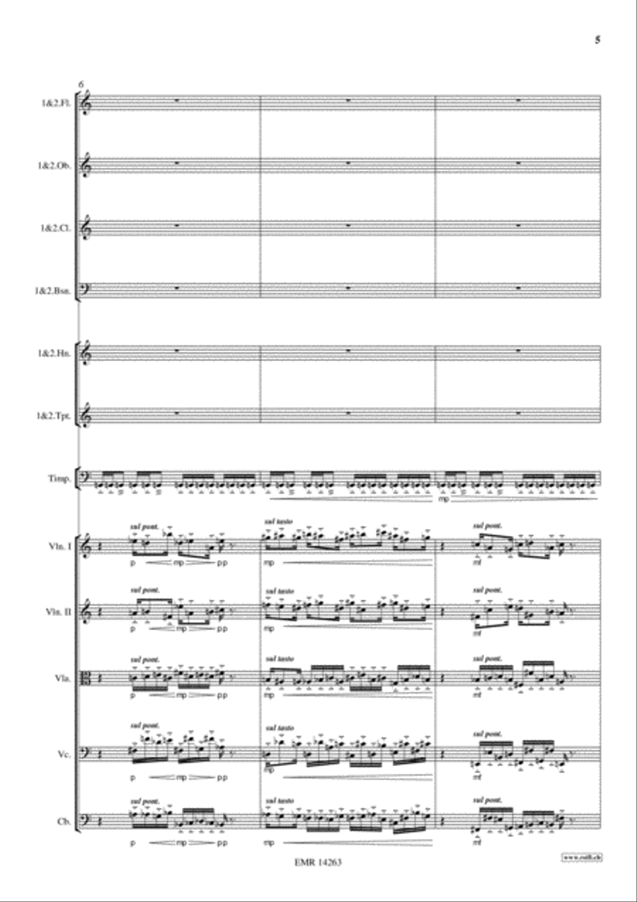 Sinfonietta Festive Sinfonietta Festive Orchestra scores gallery preview page 5