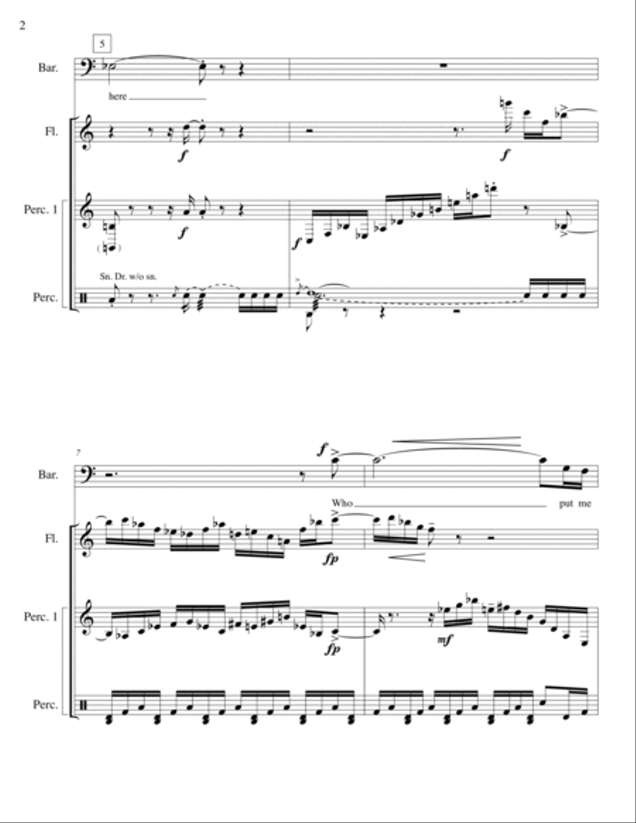 Random Blackouts III (Image Music XL) for Baritone, Flute and Two Percussion Small Ensemble scores gallery preview page 6