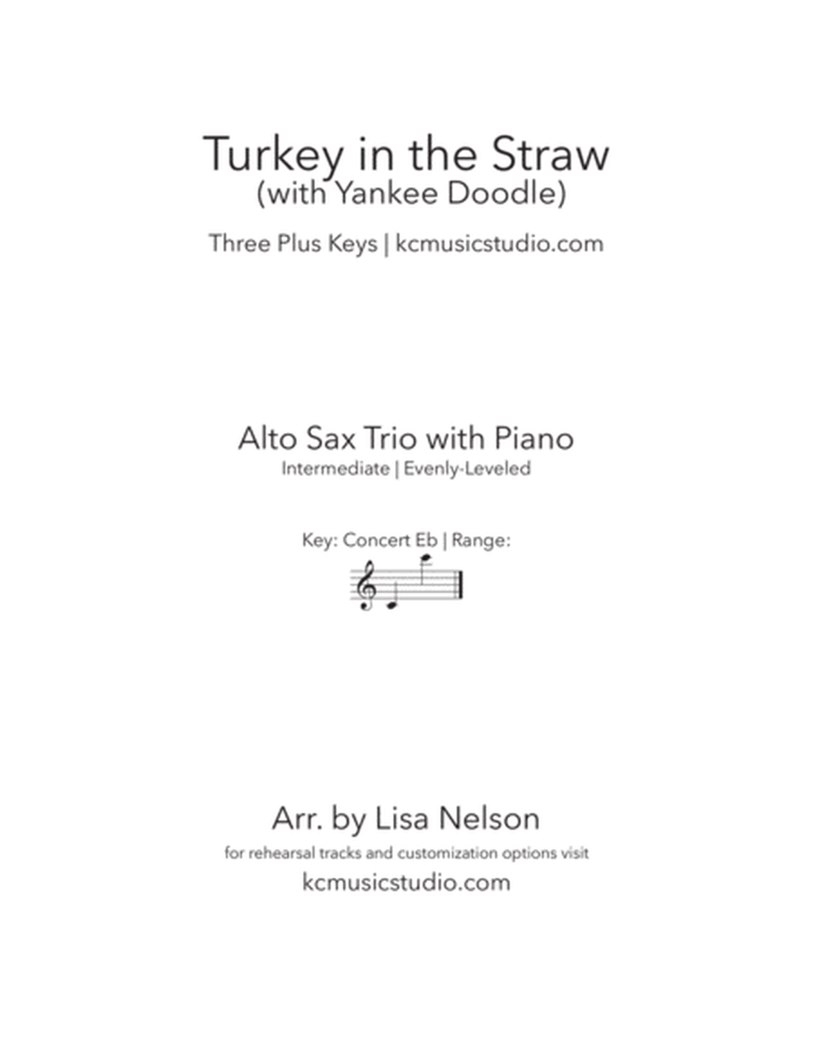 Turkey in the Straw - Alto Sax Trio with Piano Accompaniment image number null
