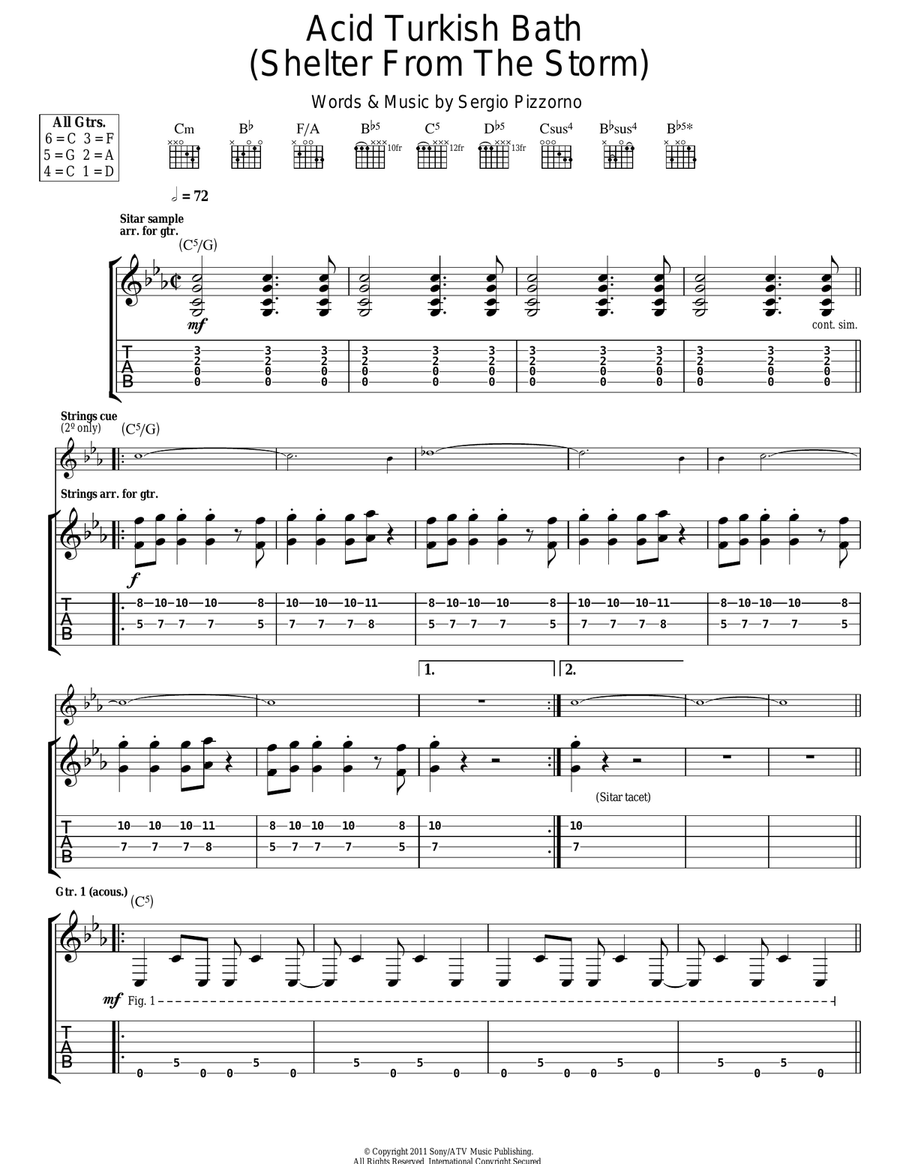 Acid Turkish Bath (Shelter From The Storm) Acoustic Guitar scores gallery preview page 1