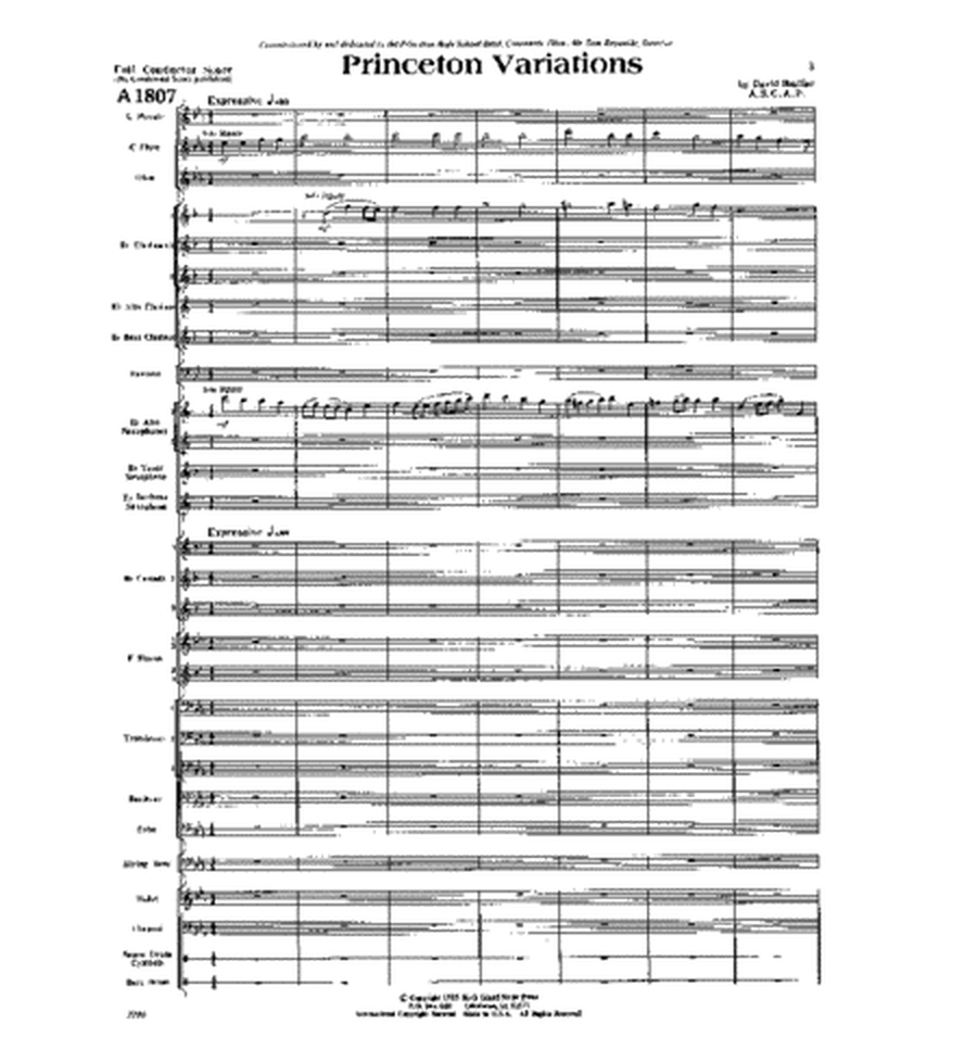 Princeton Variations