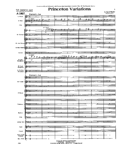 Princeton Variations