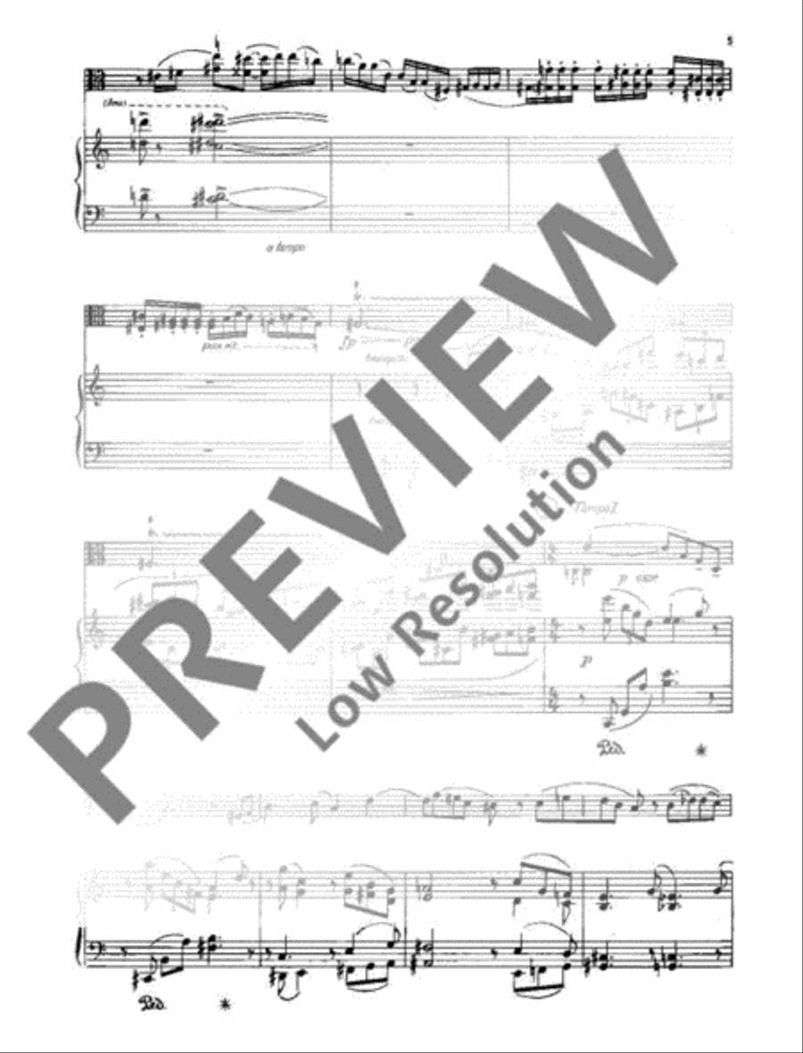 Concertante Sonata Piano Accompaniment scores gallery preview page 10