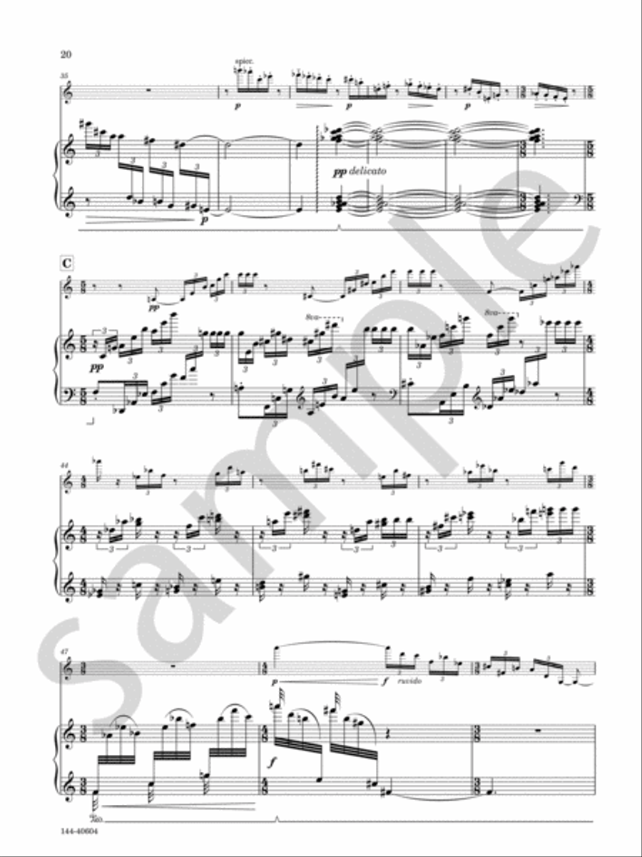 Sonata Sonata Chamber Music scores gallery preview page 12