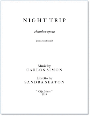 Book cover for Night Trip