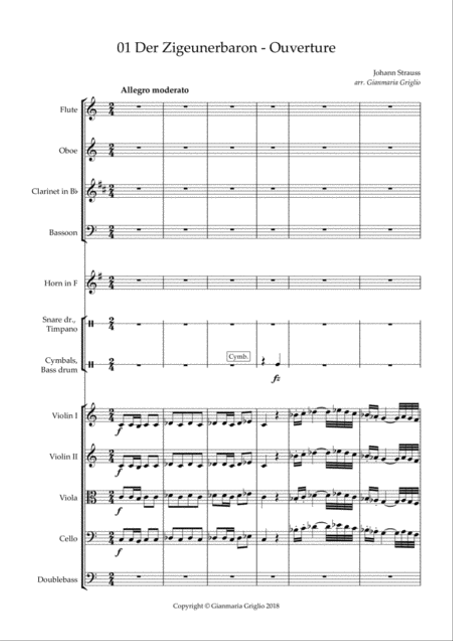 Der Zigeunerbaron Ouverture - arr. for chamber orchestra