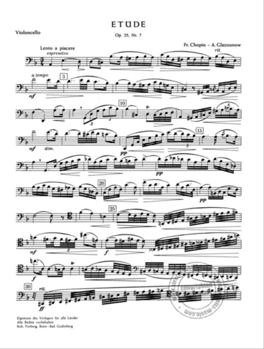 Etude op.25 nr.7 Etude op.25 nr.7 Piano Accompaniment scores gallery preview page 2