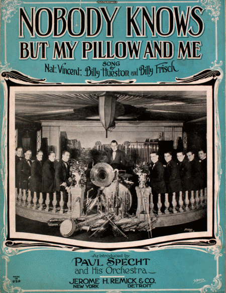 Nobody Knows (But My Pillow And Me). Song