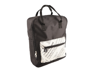 Scholar/business laptop backpack