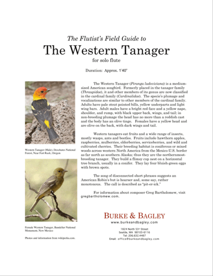 The Flutist's Field Guide to the Western Tanager Flute Solo scores gallery preview page 2