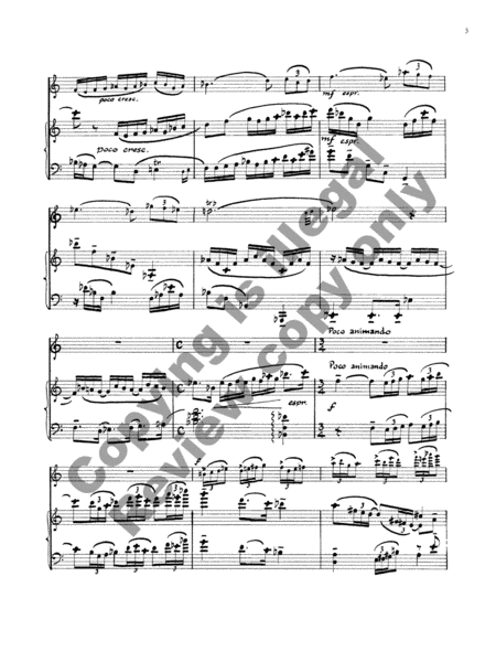 Andante and Variations (Sonata No. 3)