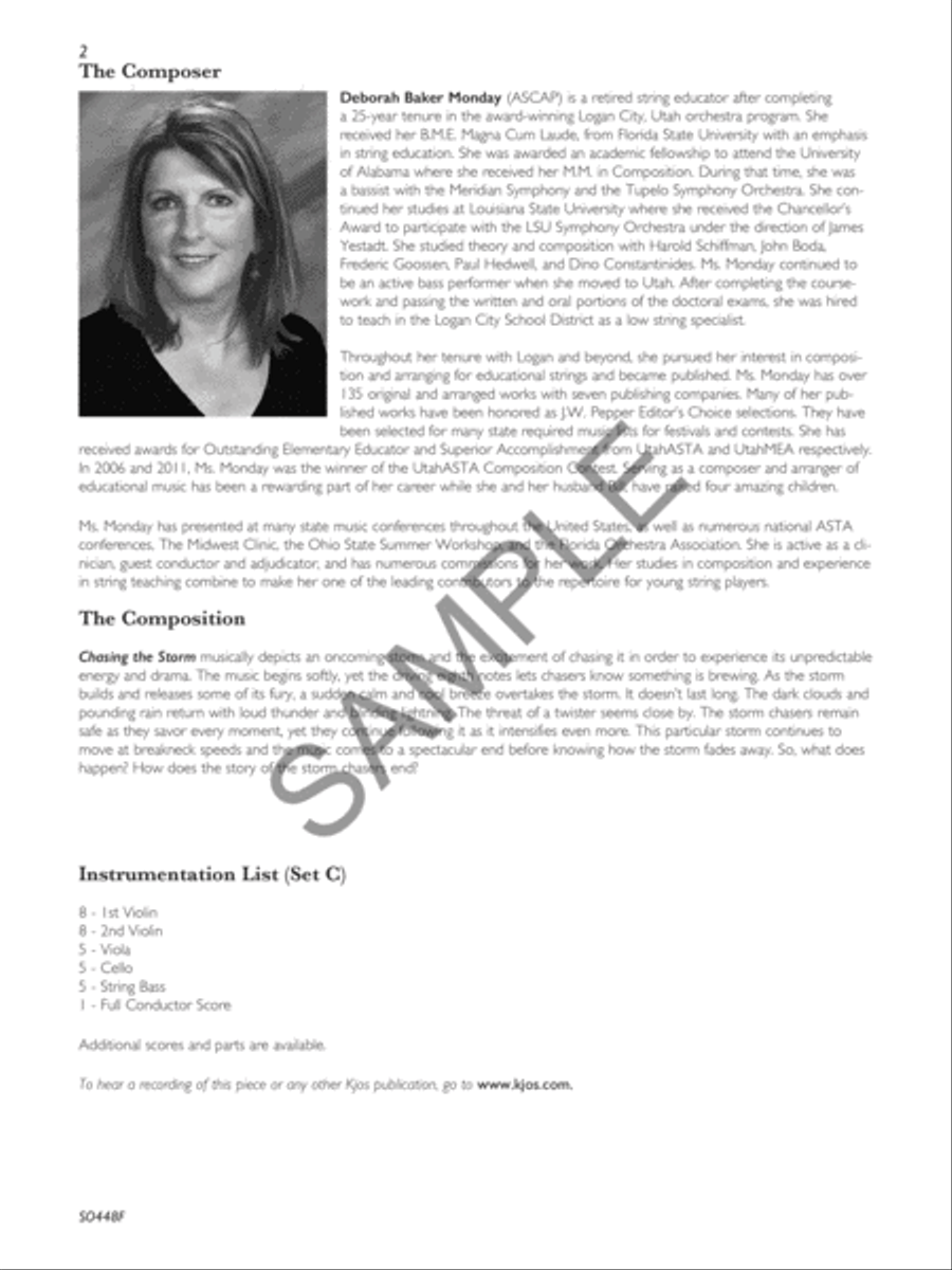 Chasing the Storm - Score String Orchestra scores gallery preview page 3