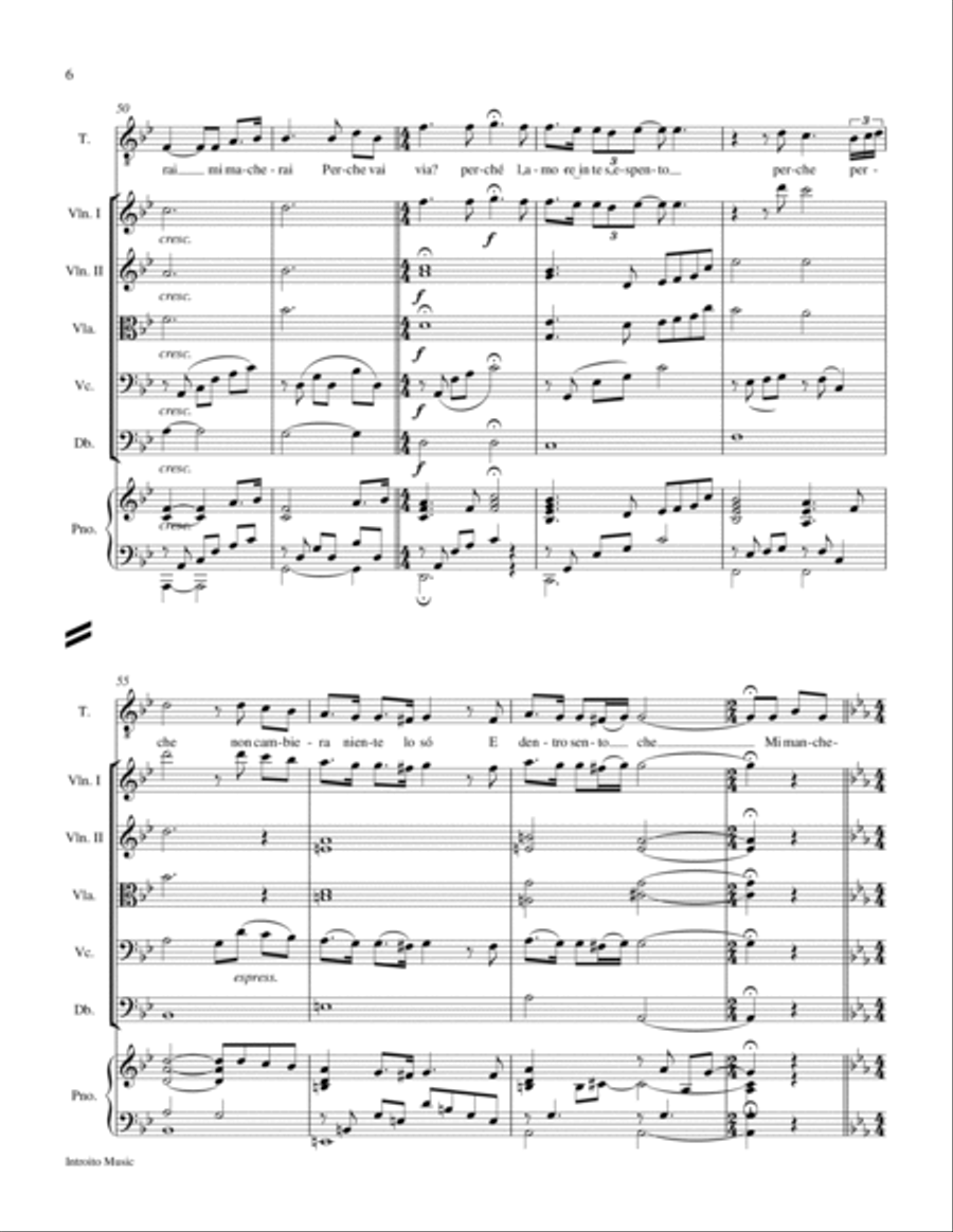 Mi Mancherai Chamber Orchestra scores gallery preview page 6