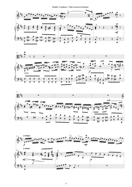 Handel-Casadesus - Viola Concerto in B minor for Viola and Piano image number null