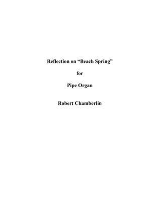 Book cover for Reflection on "Beach Spring"
