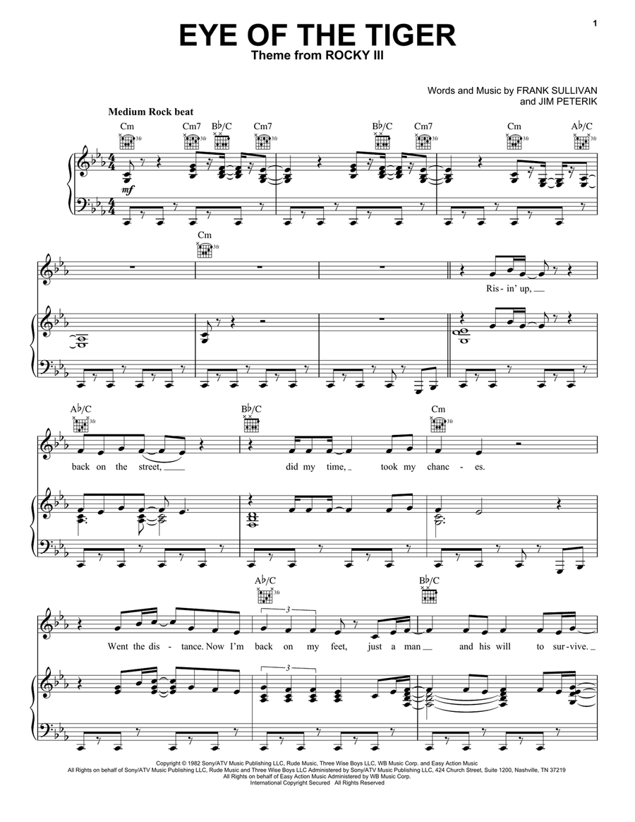 Eye Of The Tiger Acoustic Guitar scores gallery preview page 1