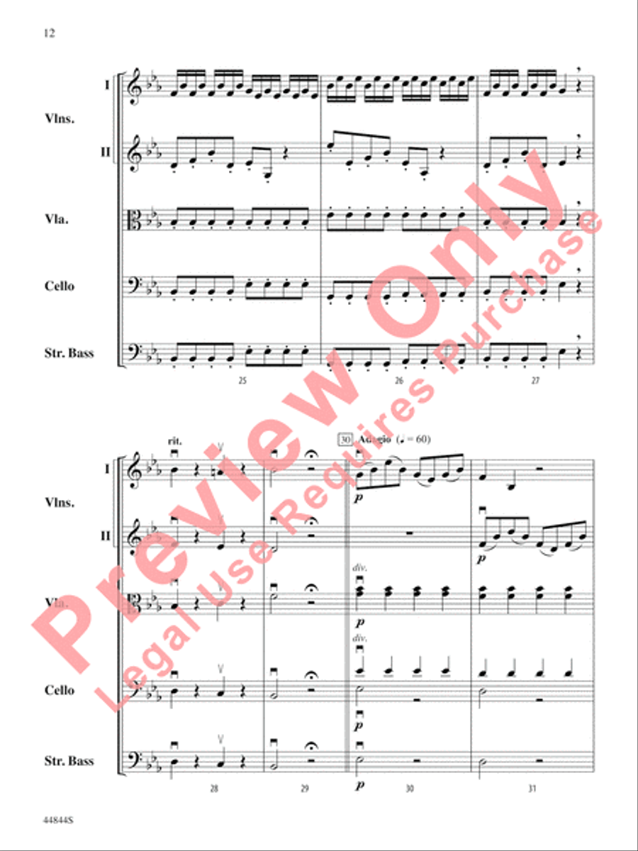 Concerto Grosso, Opus 6, No. 8 String Orchestra scores gallery preview page 13