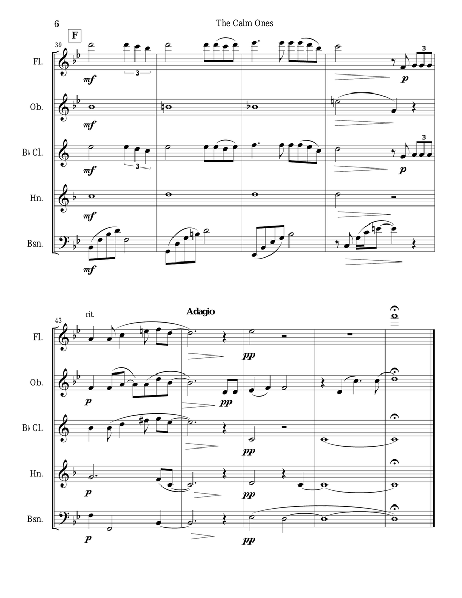 The Calm Ones (in a Noisy World) - woodwind quintet Woodwind Quintet scores gallery preview page 6