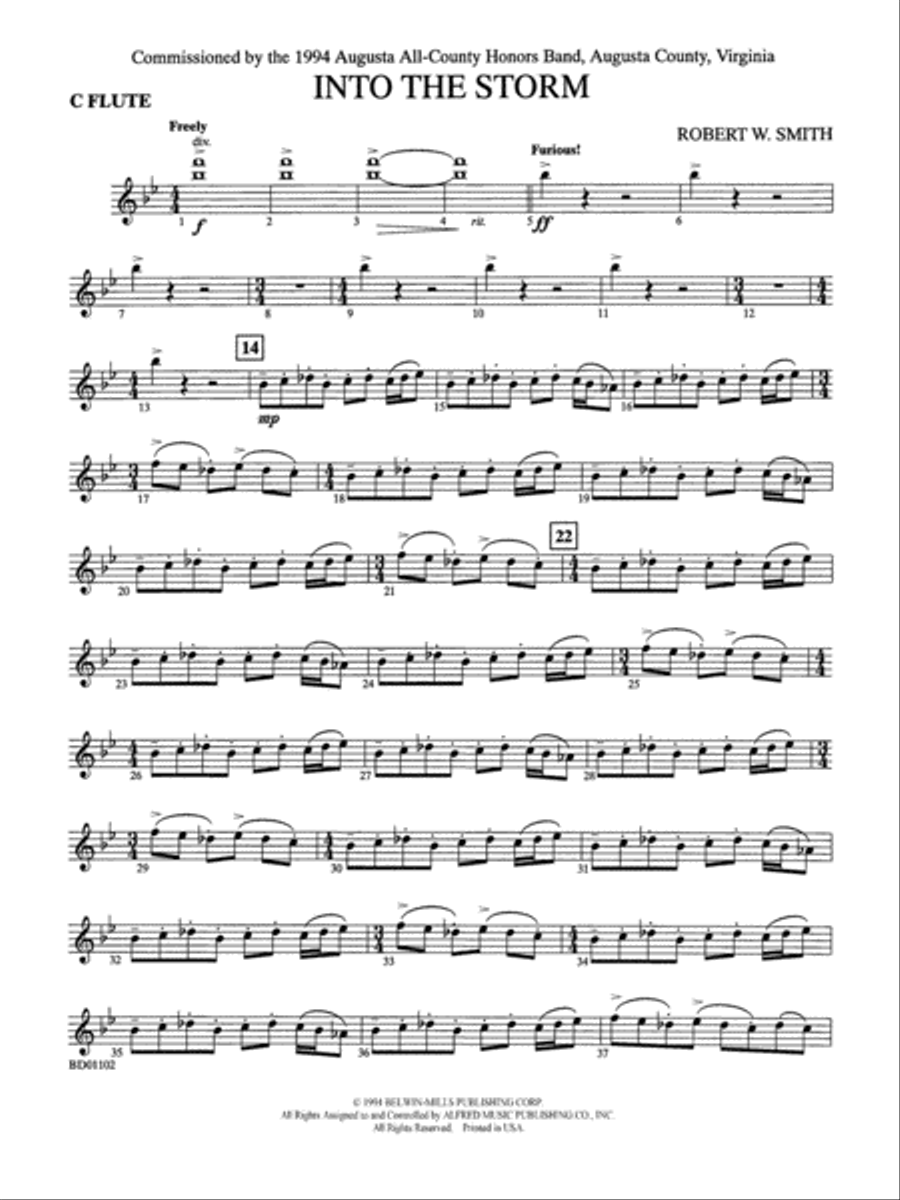 Into the Storm: Flute Concert Band scores gallery preview page 1
