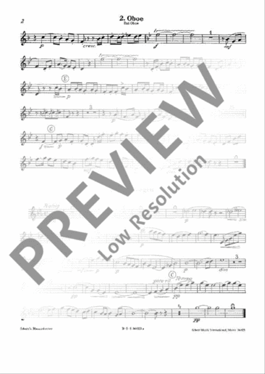 Hansel and Gretel Concert Band scores gallery preview page 19